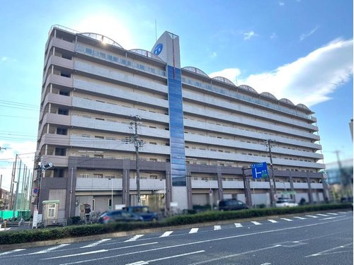 ӥ󥰤򤰤äȥХ륳ˡ