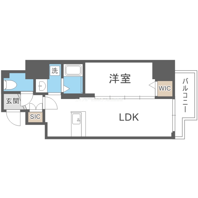 �ּ�����