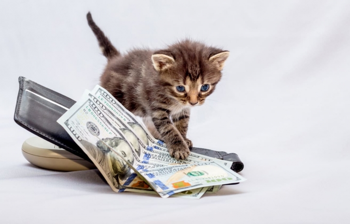 ���Ѥ��Τ�