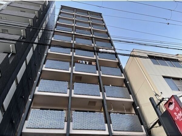 ����������1��ϩ��Ź��