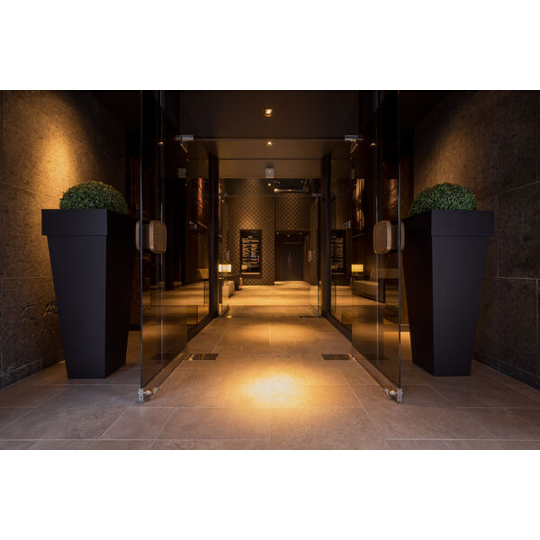 �ǥ����ʡ������ե�������Į