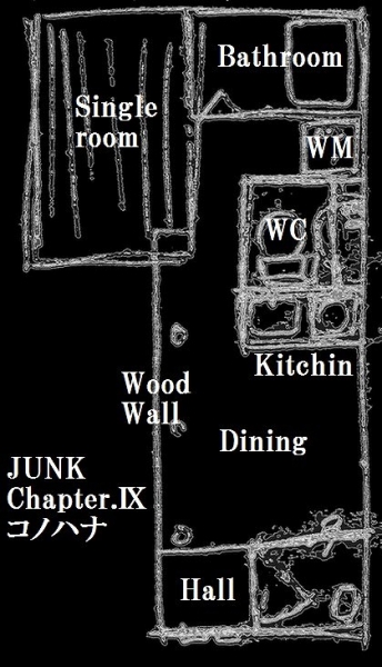 �ر���JUNK���꡼��������ʪ��δּ�����