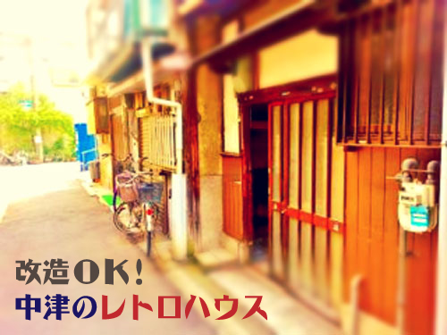 ��Ⱦǯ�����Ƽ�ͳ�˲�¤OK!Ķ��ȥ��ʥϥ���������ʪ��β���