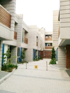 �ؤ������ߥ˥�����˽��ࡣ������ʪ��β���