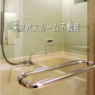 ������Х��롼����ư���٤β���