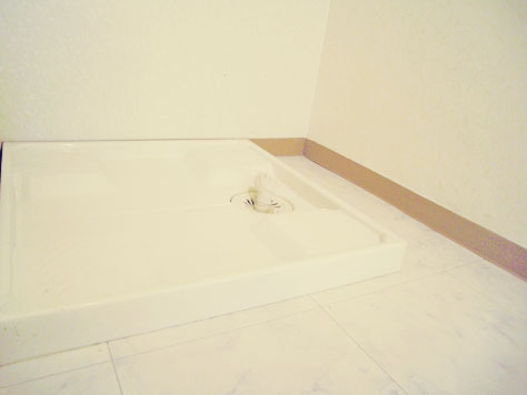 �����ܱ�����1ʬ�ν���᤮���ߥޥ󥷥�������ʪ��013�β���
