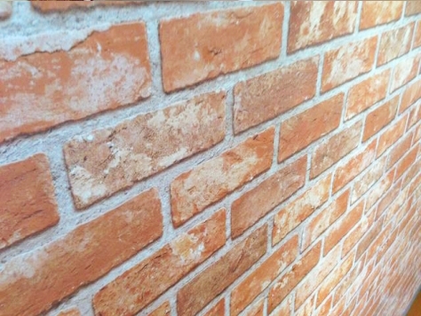 �إ��եȤΤĤ����������ʤ�����������ʪ��004�β���