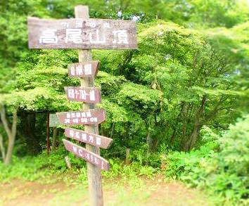 ���缫�����ޥ��ʥ������󡢤��äפꡪ������ʪ��β���