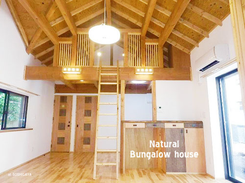 ��Natural  Bungalow house.������ʪ��β���