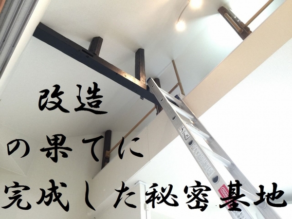 ���絬�Ϥʥ�ե�����Ǵ����פ��ޤ�������������ʪ��β���