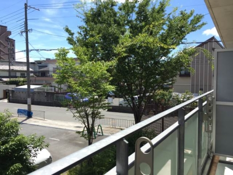 �ؤ��Ф饭�������ʤ�������ʪ��013�β���