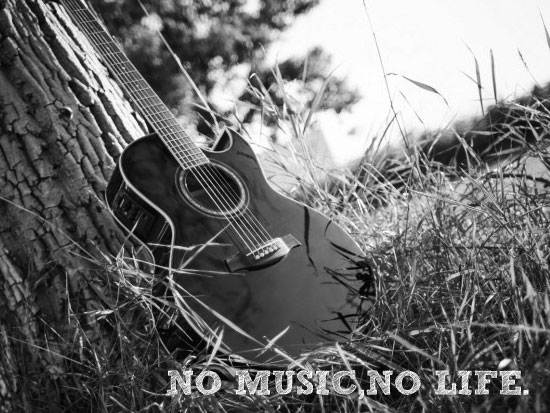 �ء�NO MUSIC, NO LIFE.��@FUDOMAE������ʪ��β���