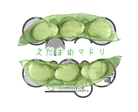 �ؤ����ޤ�ּ�������ʪ��β���