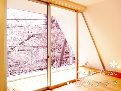�ظ�������Ƥӹ��ࡢ���Υƥ饹��������ʪ��β���