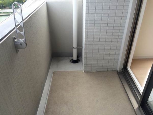 �ؤ��줾���ۤΥХ륳�ˡ�������ʪ��009�β���