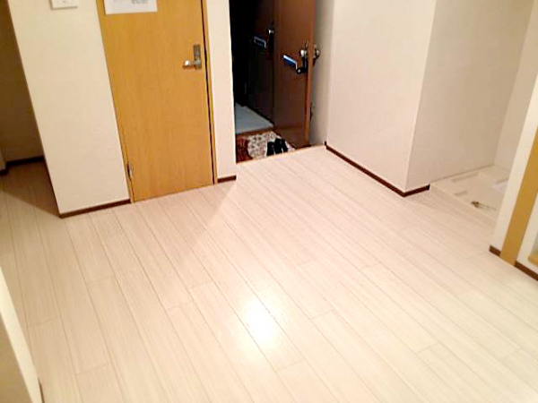 ���ɤΥ�����������������ʪ��010�β���