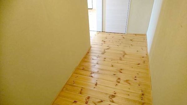 �زİ�����ŷ���ʥ�������ҹ��ߤʥϥ�������ʪ��003�β���