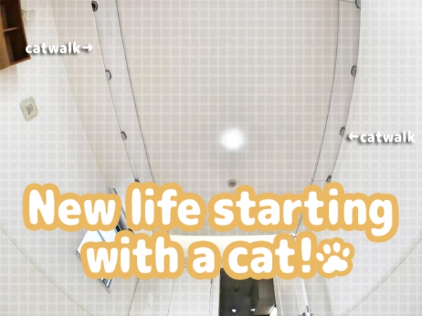 『猫好きにはたまらない!にゃんこと始める新生活!』賃貸物件の画像