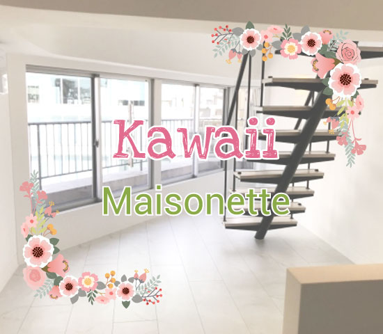 �ؤɤ����Ϥ��Ƥ�KAWAII�᥾�ͥåȥ����פΥ�Υ٥ޥ󥷥�������ʪ��β���