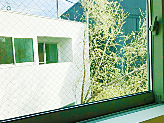 �إޥ륷������ˤ��륳���ȥϥ�����������ʪ��011�β���