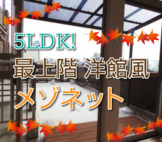 ��5LDK?!�Ǿ峬���δ����᥾�ͥåȡ�����ʪ��β���