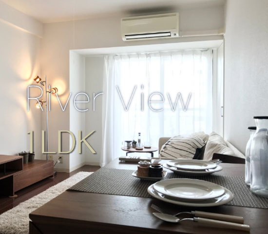 �إ����ѽŻ�Υ�С��ӥ塼1LDK������ʪ��β���