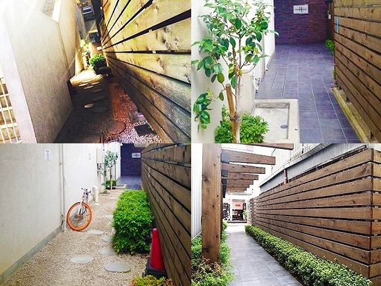 �إ���¼����餹����󥬻�Ω�Ƥγ���Ū�ʶ��֡�������ʪ��015�β���