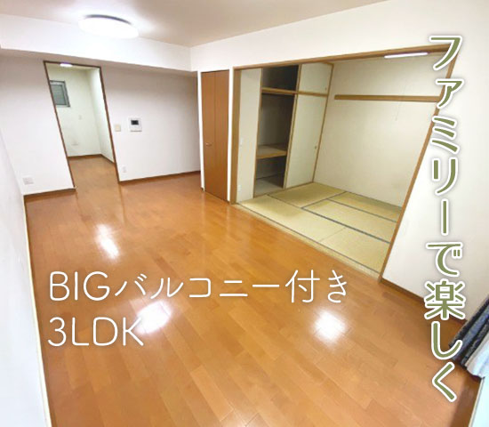 �إե��ߥ꡼�ǳڤ�����BIG�Х륳�ˡ��դ�3LDK������ʪ��β���