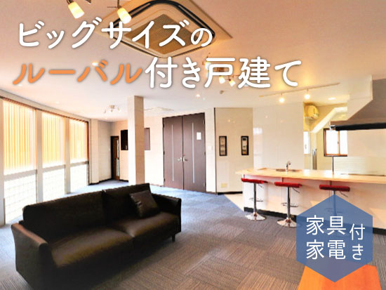 �ؤ����¤ˤӤä��� �ȶ񡦲����դ��ǥӥå��������Υ롼�Х��դ��ͷ��ơ�������ʪ��β���