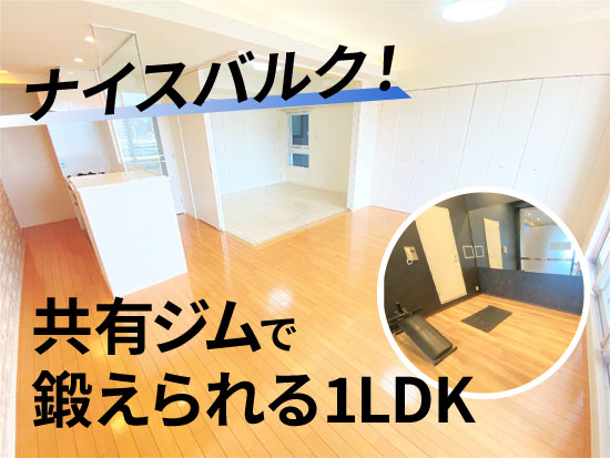�إʥ����Х륯����ͭ������ä�����1LDK������ʪ��β���