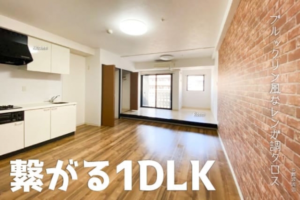 �ز������Τ���Ҥ���1LDK�����Ĵ����ޯ��ʥǥ����ʡ����롼�������ʪ��β���