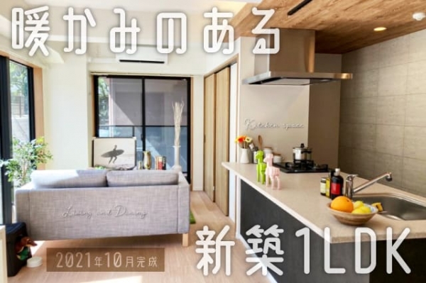 �إǥ�����ⵡǽ������ʤ����Ȥ��ߤΤ��뿷��1LDK��������ʪ��β���