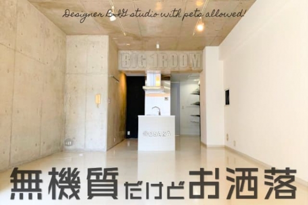 ��̵���������ɤ�ޯ��ڥåȤ������ǥ����ʡ���BIG���롼�������ʪ��β���