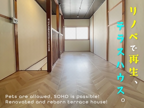 �إ�Υ٤Ǻ������ƥ饹�ϥ�����SOHO���ڥåȲġۡ�����ʪ��β���