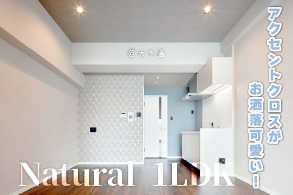 �إڥåȤ���餹����ޯ��ʥ������1LDK������ʪ��β���