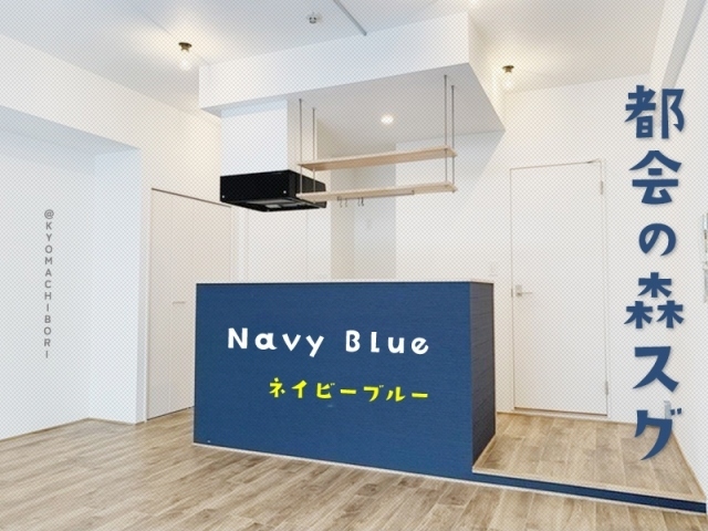 ��NAVYBLUE����������Ȥν¤���Υ٥䡣������ʪ��β���