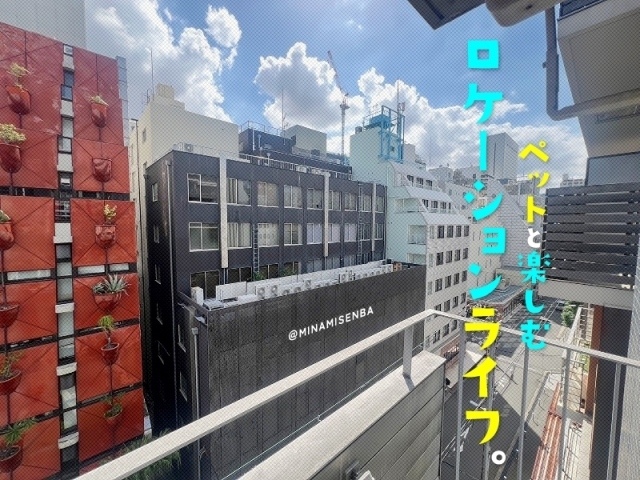 �ؿ��ض����濴�ǳ𤨤롢�Ǿ��Υ����������饤�ա�������ʪ��β���