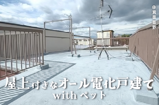 زդʥŲͷwithڥåȡʪβ