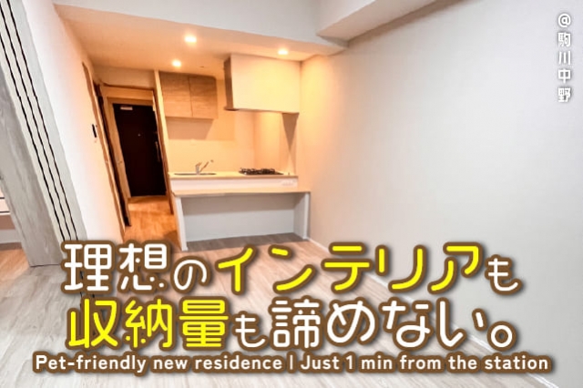 �����ۤΥ���ƥꥢ���Ǽ�̤�����ʤ����ض���ڥåȲĤʿ��ۥ쥸�ǥ󥹡�����ʪ��β���