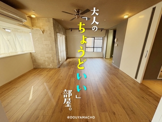 ����ͤΡȤ��礦�ɤ����ɤ�𤨤�ǥ����פʾ�ꡣ������ʪ��β���