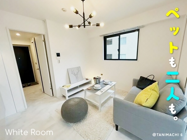 �إڥåȤ�դ�����餷�⡢��Į�쥸�ǥ󥹡�������ʪ��β���