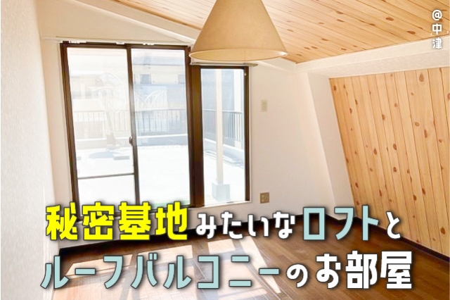 ����̩���Ϥߤ����ʥ��եȤȥ롼�եХ륳�ˡ��Τ�����������ʪ��β���