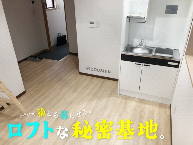 �إ��եȤǹ����롢ͷ�ӿ�����������̩���ϡ�������ʪ��β���