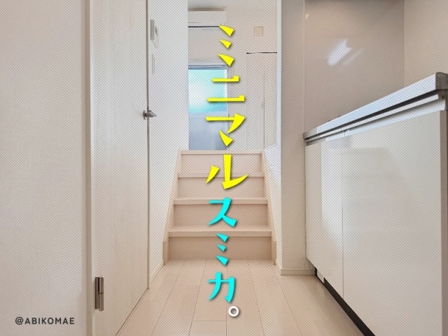 �إߥ˥ޥ륹�ߥ���������ʪ��β���