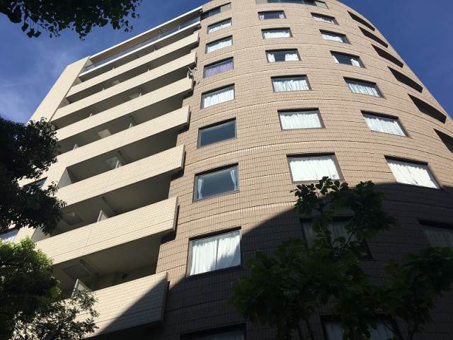 �������ߡ֡׳���