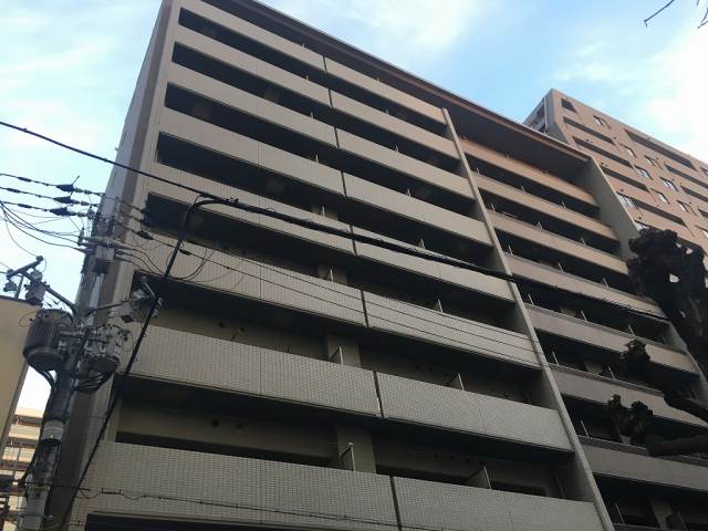 �������ߡ֡׳���