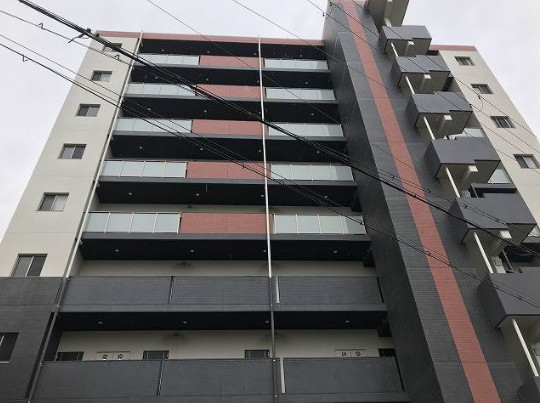 �������ߡ֡׳���