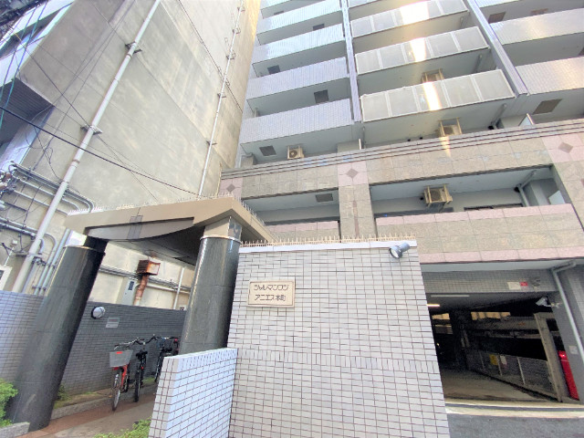 �������ߡ֡׳���