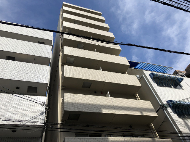 �������ߡ֡׳���