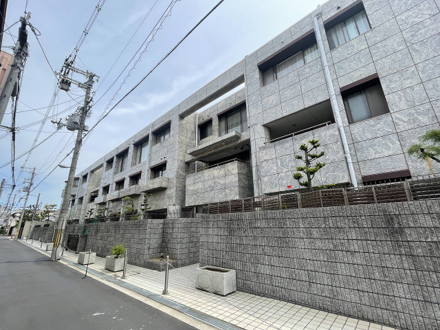 �������ߡ֡׳���